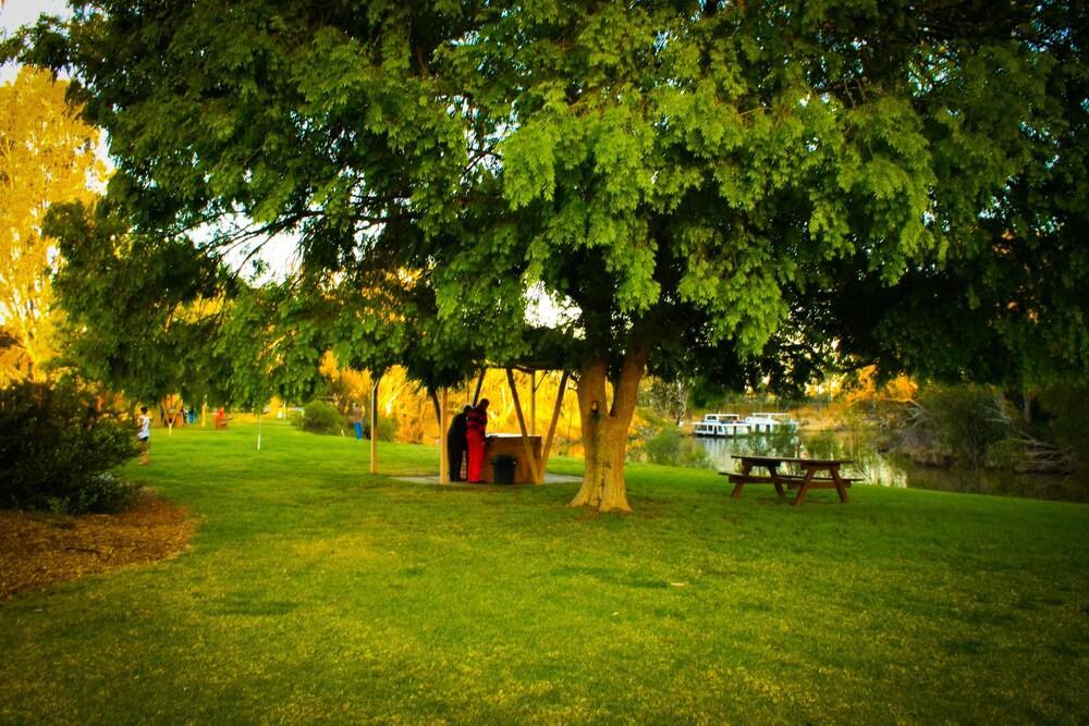 Cadell On The Murray Motel Moama Εξωτερικό φωτογραφία