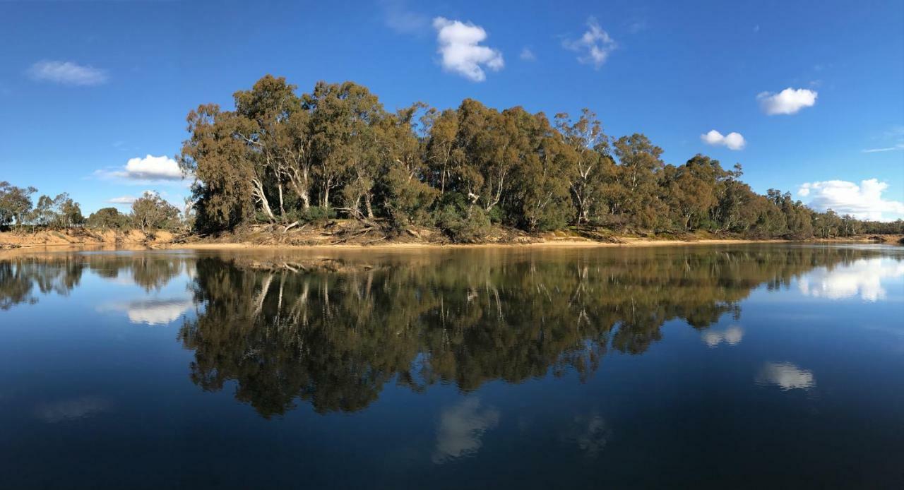 Cadell On The Murray Motel Moama Εξωτερικό φωτογραφία